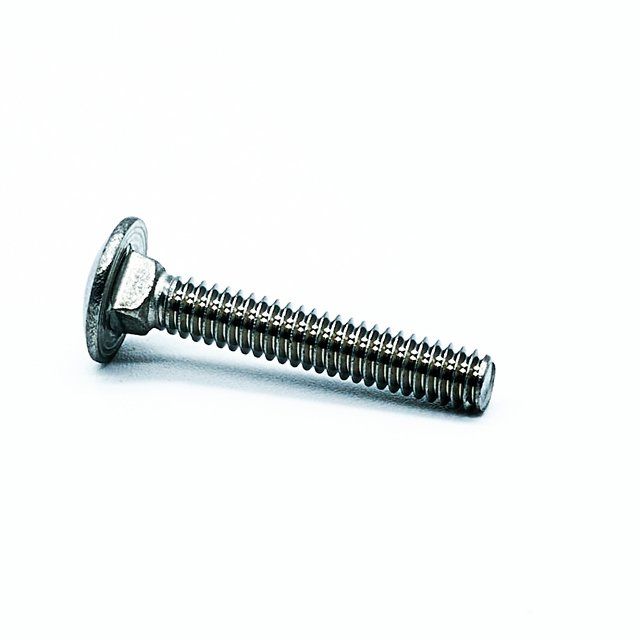 Carriage Bolt 2